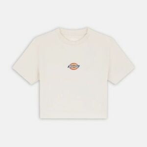 Rövid ujjú pólók Dickies MAPLE VALLEY kép