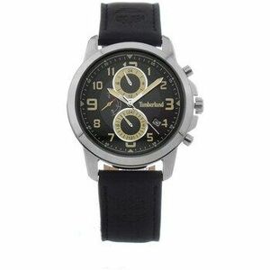 Analóg karórák Timberland tdwgf9002401 kép