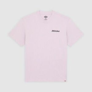 Rövid ujjú pólók Dickies STATESVILLE TEE kép