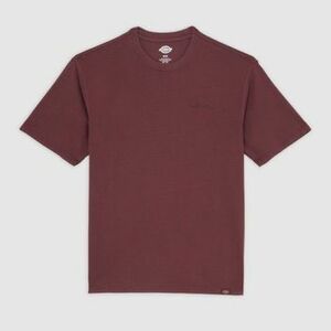 Rövid ujjú pólók Dickies SLAYDEN GD kép