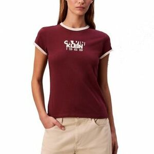 Rövid ujjú pólók Calvin Klein Jeans LV047D208G kép