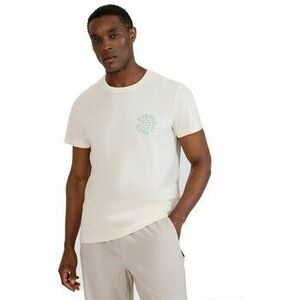 Rövid ujjú pólók 4F KOSZULKA4FM1980ZAMANABIEL kép