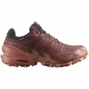 Futócipők Salomon Speedcross 6 Gtx Gore-tex kép