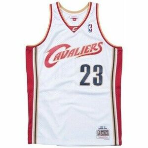 Rövid ujjú pólók Mitchell And Ness Nba Cleveland Cavaliers 0304 Lebron James Swingman kép
