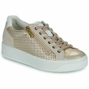 Rövid szárú edzőcipők IgI&CO D.AVA kép