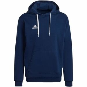 Melegítő kabátok adidas adidas Entrada 22 Sweat Hoodie kép
