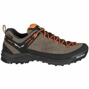 Túracipők Salewa Wildfire Leather Gtx kép