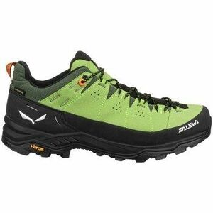 Túracipők Salewa Alp Trainer 2 Gtx kép