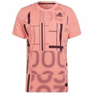 Rövid ujjú pólók adidas Graphic Tee kép