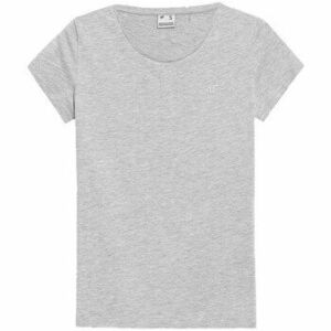 Rövid ujjú pólók 4F SS23TTSHF580CHODNYJASNYSZARY kép