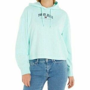 Pulóverek Tommy Hilfiger Tommy Jeans Hoodie kép