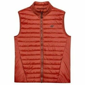 Kabátok 4F 4FAW23TVESM06261S kép