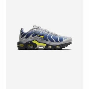 Futócipők Nike Air Max Plus Obsidian Silver (GS) kép