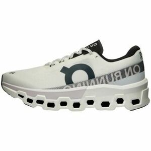 Futócipők On Running Cloudmonster 2 White Frost kép