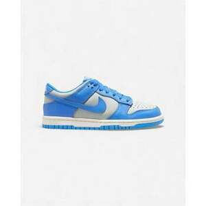 Rövid szárú edzőcipők Nike Dunk Low Light Silver Sail Light Photo Blue (GS) kép