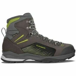 Túracipők Lowa Vigo Gtx kép