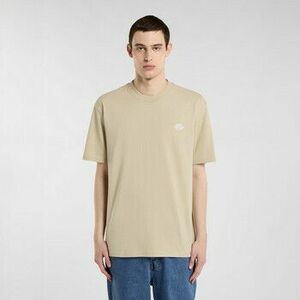 Rövid ujjú pólók Dickies Summerdale ss tee kép