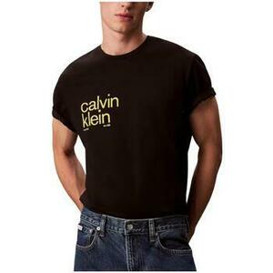 Rövid ujjú pólók Calvin Klein Jeans LV04RD810GUB1 kép