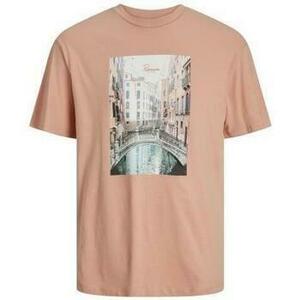 Rövid ujjú pólók Jack & Jones 12254030 kép