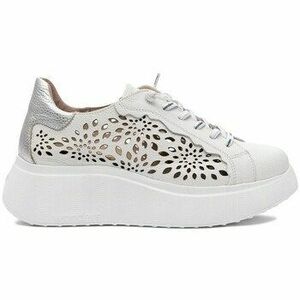 Rövid szárú edzőcipők Wonders A3641OFFPLATA kép