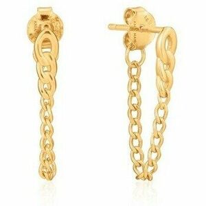 Fülbevalók Ania Haie e02103g kép