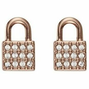 Fülbevalók Dkny 5520121 kép