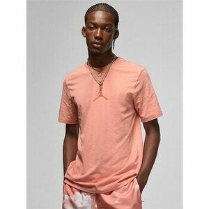 Rövid ujjú pólók Nike Air Jordan Jumpman kép