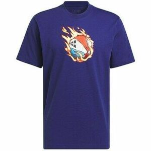 Rövid ujjú pólók adidas IY1161 kép