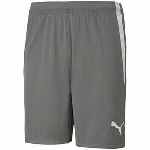 7/8-os és 3/4-es nadrágok Puma Teamliga kép