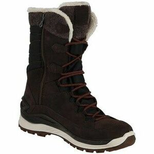 Túracipők Lowa Barina Evo Gtx kép