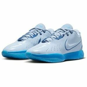 Alsóváros Nike Lebron Xxi kép