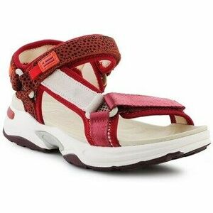 Szandálok / Saruk D.Franklin DFSH406003BURG kép