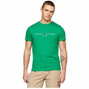 Rövid ujjú pólók Tommy Hilfiger MW0MW11797L4B kép