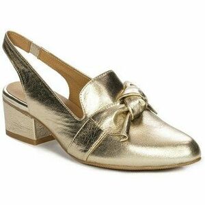 Félcipők Maciejka N653925001 kép