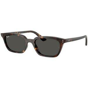 Napszemüvegek Ray-ban ZAYA UNISEX 0RB4456 135987 kép