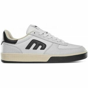 Deszkás cipők Etnies Emerson kép