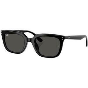 Napszemüvegek Ray-ban UNISEX 0RB4439D 901/87 kép