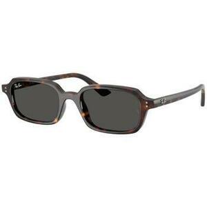 Napszemüvegek Ray-ban ZURI UNISEX 0RB4455 135987 kép