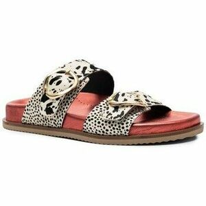 Gioseppo - Cipő kép