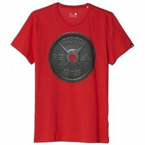 Rövid ujjú pólók adidas Weightlifting Graphic Tee kép