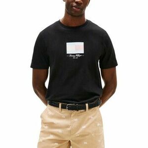 Rövid ujjú pólók Tommy Hilfiger ITHACA FLAG TEE MW0MW39349 kép