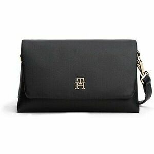 Kézitáskák Tommy Hilfiger AW0AW17698BDS kép