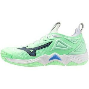 Fedett pályás sport Mizuno Wave Momentum kép