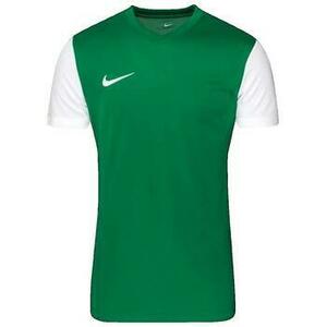 Fürdőruhák Nike Dri-Fit Tiempo Premiere kép