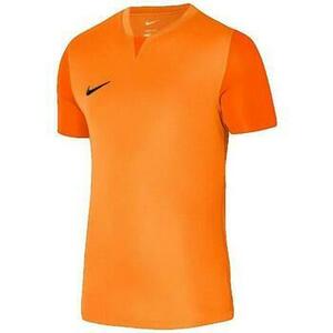 Fürdőruhák Nike Dri-Fit Trophy V kép