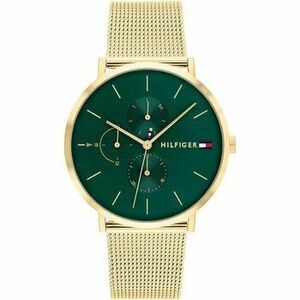 Analóg karórák Tommy Hilfiger ty566890 kép