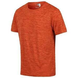 Rövid ujjú pólók Regatta T-shirt Fingal Edition Rouge kép