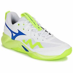 Fedett pályás sport Mizuno WAVE MOMENTUM PRO kép