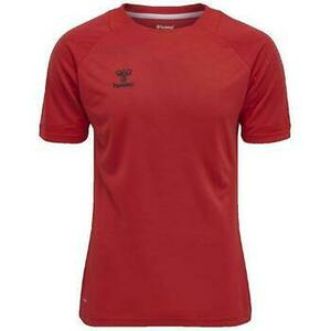 Rövid ujjú pólók hummel T-shirt hmlLEAD rouge kép