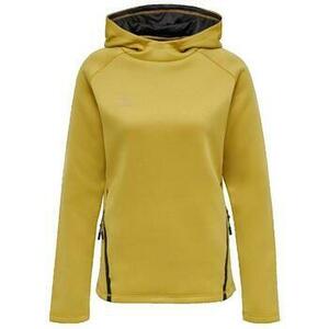 Pulóverek hummel Sweat à capuche Cima XK kép